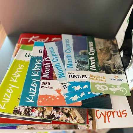 Apartment Stylish Retreat In Nicosias Heart Nikosia