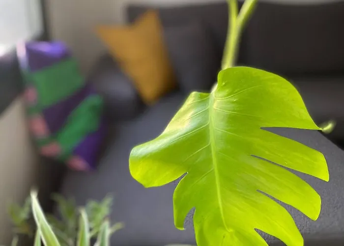 Stylish Retreat In Nicosias Heart Nicosia